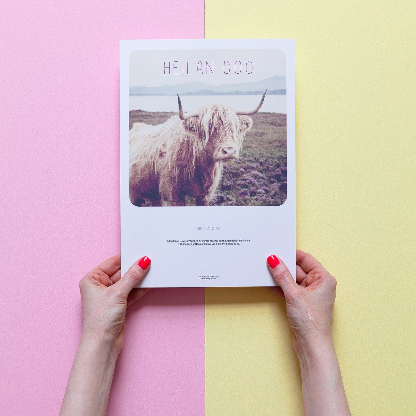 Scottish Banter Print Highland Cow