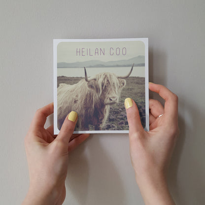 Scottish Banter Greetings Card Highland Cow