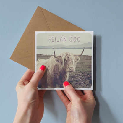 Scottish Banter Greetings Card Highland Cow