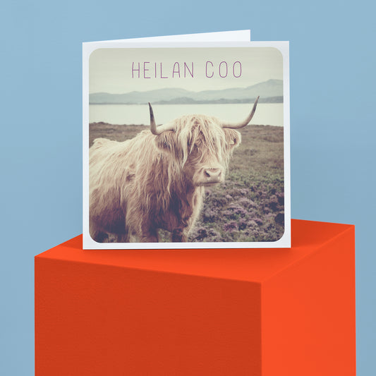 Scottish Banter Greetings Card Highland Cow