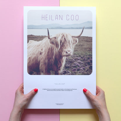 Scottish Banter Print Highland Cow